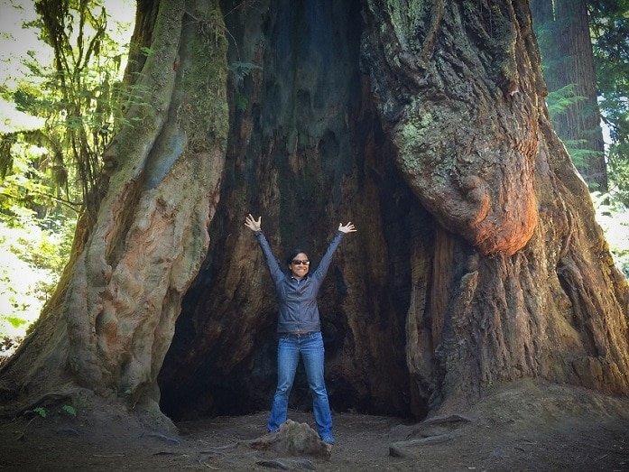 A woman stands inside the base of a redwood tree while visiting the Redwoods with kids