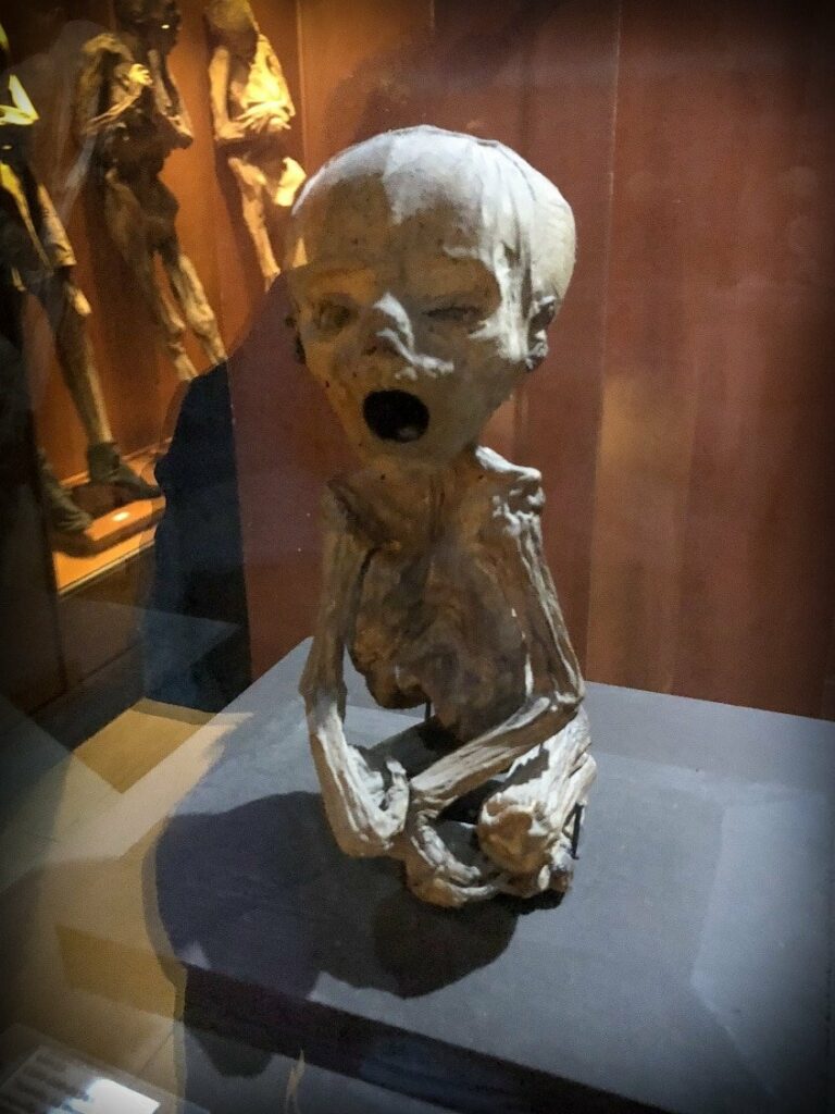 Smallest mummy in the world - mummies in Mexico at the Museo de las Momias in Guanajuato