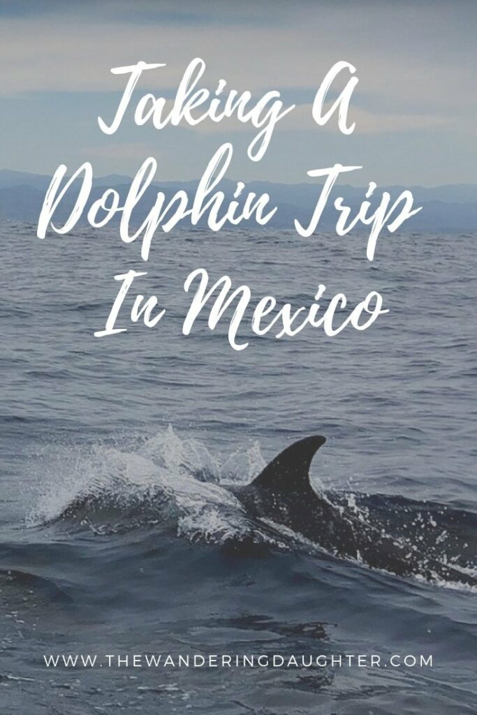 Taking A Dolphin Trip In Mexico | The Wandering Daughter | 
Tips for taking a dolphin trip in Mexico. Where you can do dolphin watching and whale watching in Mexico with kids. Best companies for dolphin tours in Puerto Escondido, Mexico. #familytravel #dolphintours #Mexico #PuertoEscondido