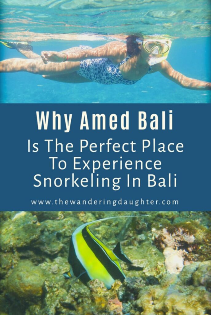 Why Amed Bali Is The Perfect Place To Experience Snorkeling In Bali | The Wandering Daughter | Reasons why Amed, Bali is a great place for snorkeling. Pinterest image with a woman snorkeling at the top, and a yellow, white, and black striped fish at the bottom.