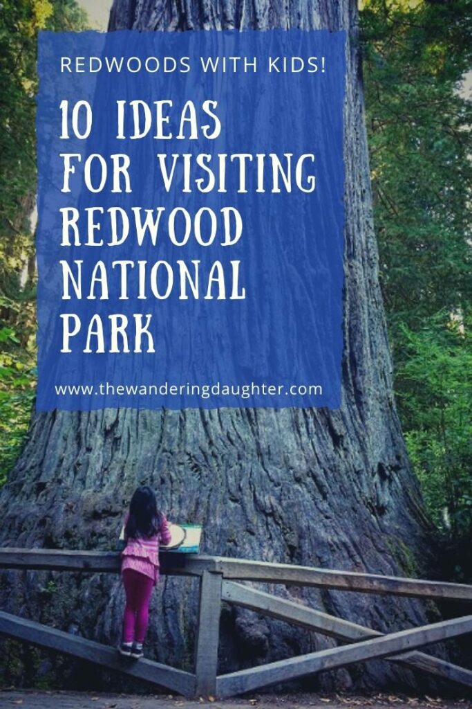 Redwoods With Kids! 10 Ideas For Visiting Redwood National Park | The Wandering Daughter