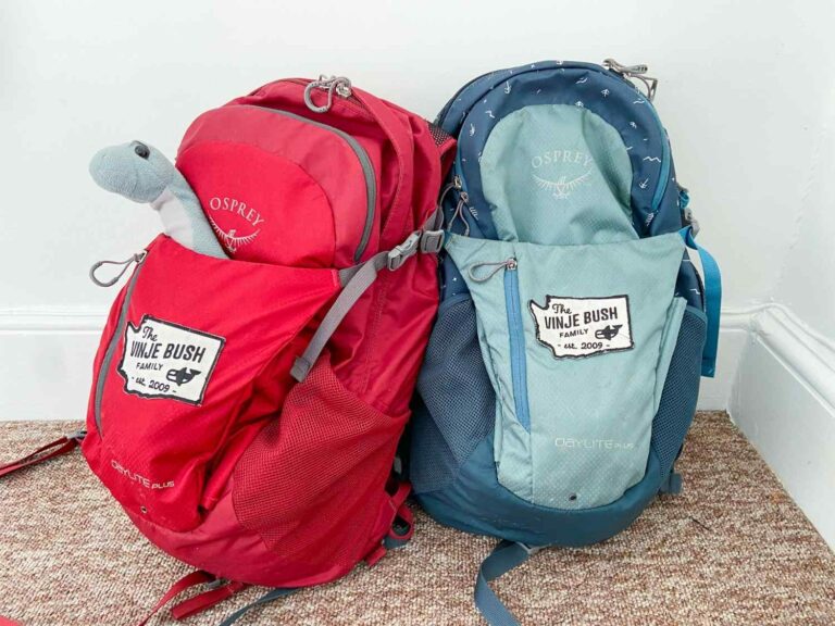 https://thewanderingdaughter.com/wp-content/uploads/2021/10/best-backpack-for-travel-with-kids-6-768x576.jpg