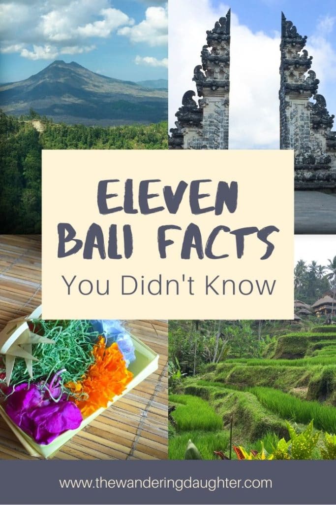 Pinterest image for a blog post. Eleven Bali Facts You Didn't Know | The Wandering Daughter | Eleven things about Bali that visitors may now know before coming to the island. Facts about Bali to help visitors learn more about this island in Indonesia. 