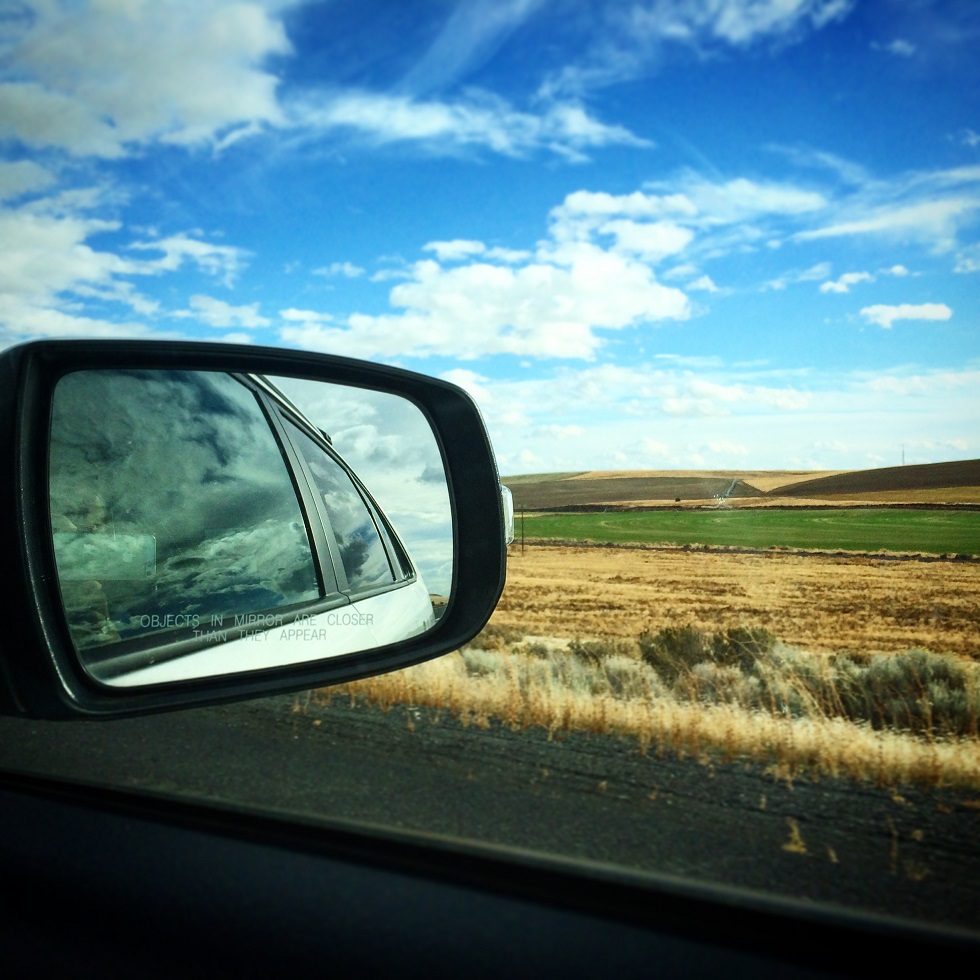 Side view mirror of a car taking a family on a family gap year, with wheat fields in the background