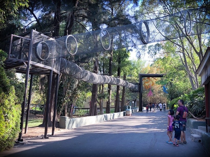 Visiting the Guadalajara Zoo with kids