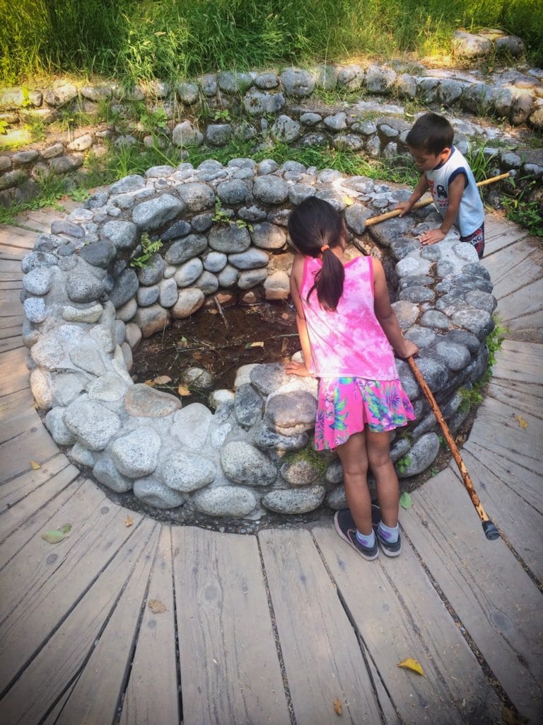 Children exploring nature and an old hot springs tub at Mount Rainier National Park