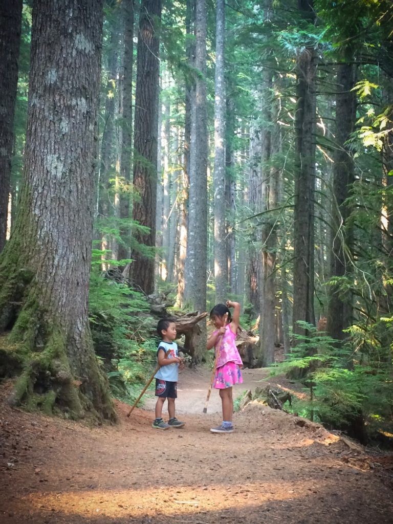 Children exploring nature in Mount Rainier National Park
