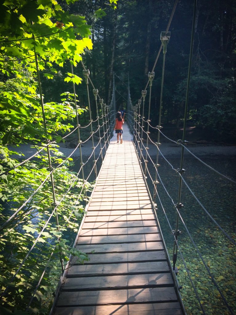 A child walking on a suspension bridge along the Grove of the Patriarchs, one of the Mount Rainier hikes