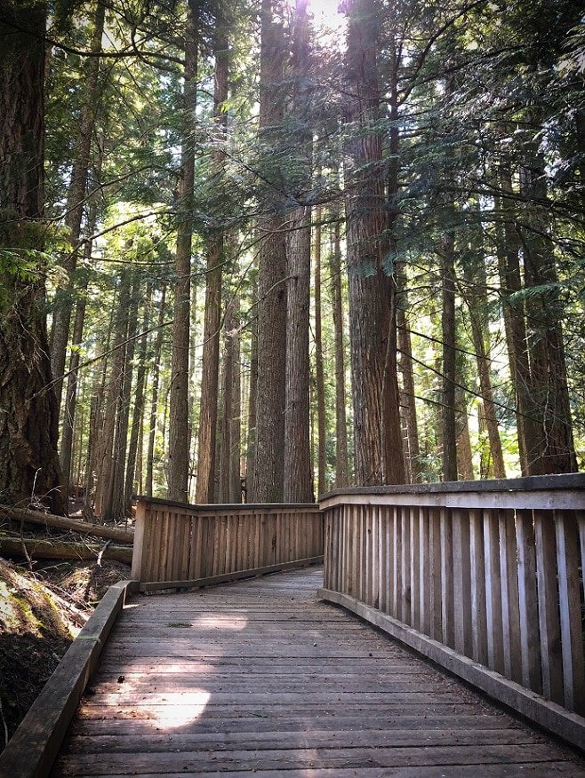 A boardwalk at Happy Creek Forest Walk, one of the hikes in North Cascades National Park