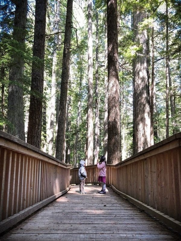Children exploring nature on a boardwalk trail at North Cascades National Park