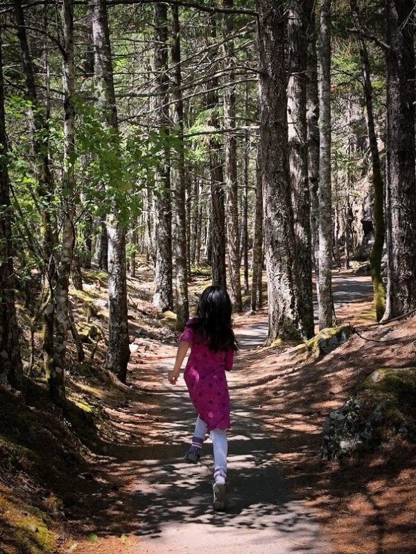 A child running along Gorge River Trail, one of the hikes in North Cascades National Park