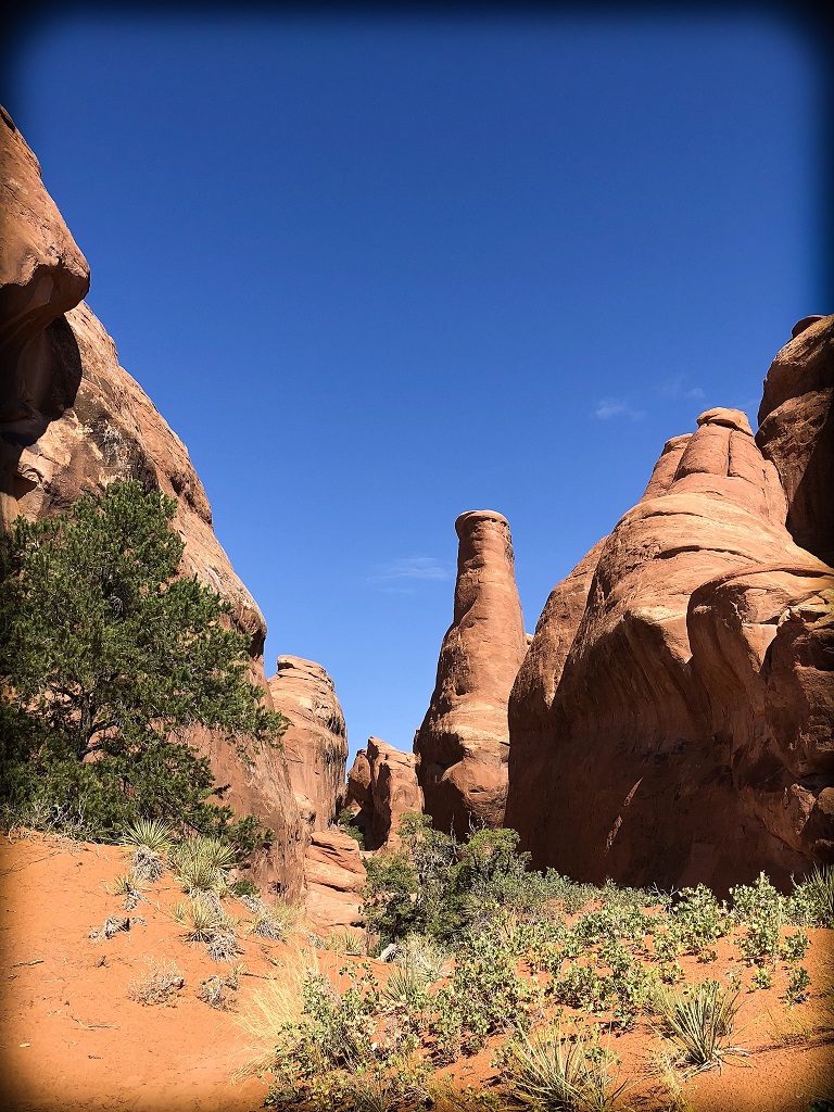 Rocks and boulders visible on a hike at Arches National Park with kids