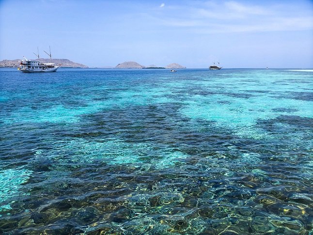 Ocean water with coral during a Komodo tour, and two boats in the background.