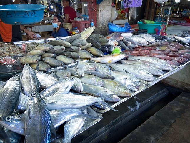 A display of fresh fish for sale from a vendor at San Jose New Market, a stop during a Puerto Princesa itinerary in the Philippines