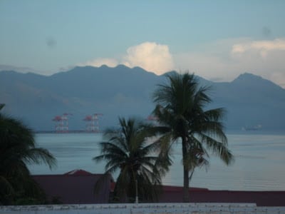 View of palm trees at Subic Bay as part of Philippines travel and tourist spots in Luzon