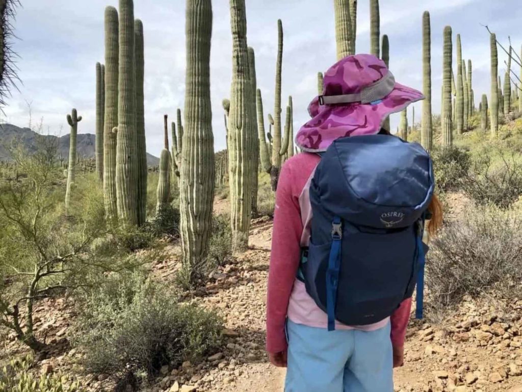 What to Pack for Hiking with Kids - Tales of a Mountain Mama
