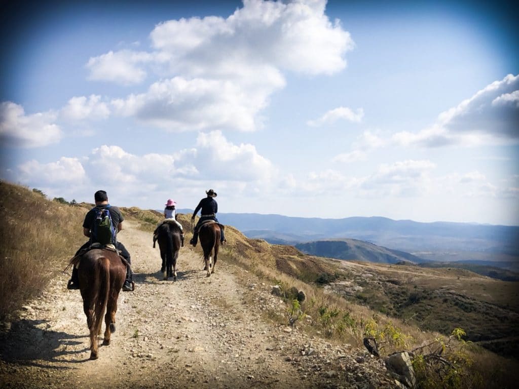 A family riding horses while traveling to Mexico with kids