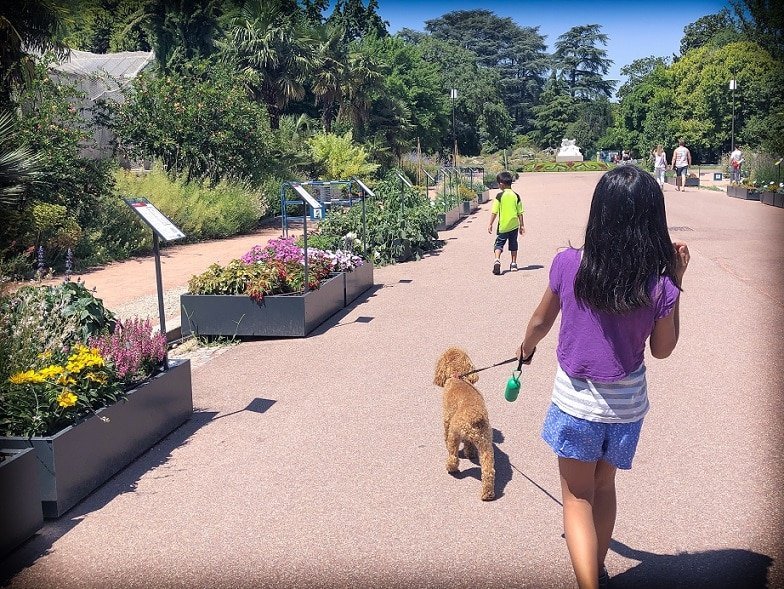A child walks a dog in a park while taking part in sharing economy travel through housesitting.